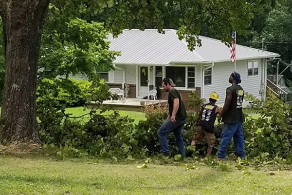 Tree Trimming in Anniston, AL